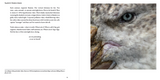 Toward Antarctica by Elizabeth Bradfield